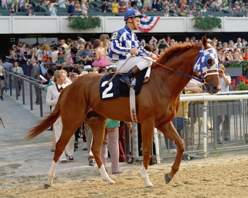 Saratoga Race Cards 6 June Belmont Stakes $2,000,000 field lineup at Saratoga Racecourse