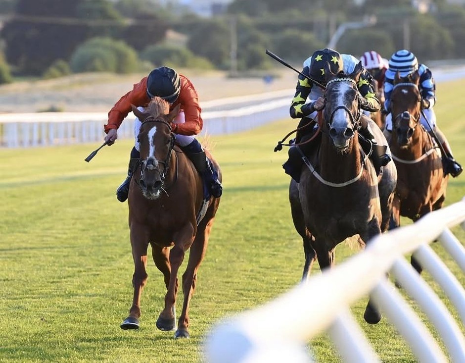 Wetherby racecards 4 June Thursday flat turf racing action at Wetherby Racecourse