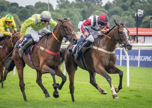Uttoxeter Race Cards 4 June runners competing during the National Hunt meeting
