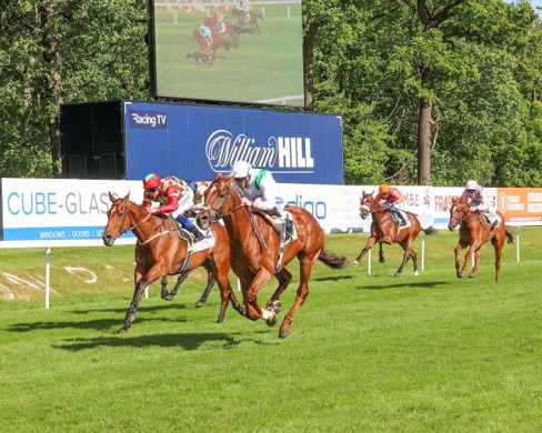 Hamilton Park Race Cards 4 June racecourse view and full race lineup