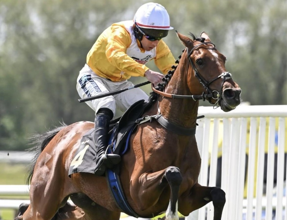 Warwick race results 3 June Wednesday jump racing action at Warwick Racecourse