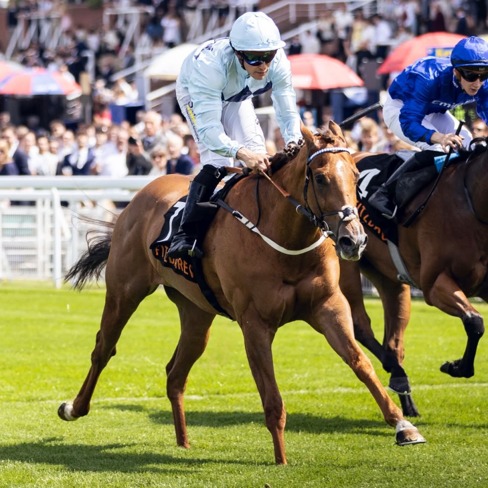 Goodwood Race Cards 5 June runners preparing at Goodwood Racecourse