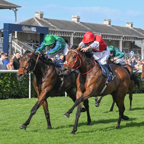 Doncaster Race Cards 5 June runners competing at Doncaster Racecourse