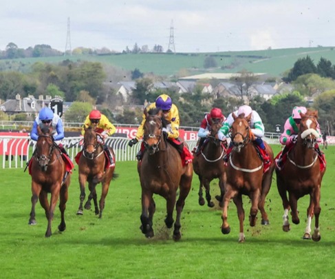 Musselburgh Race Cards 5 June runners competing at Musselburgh Racecourse