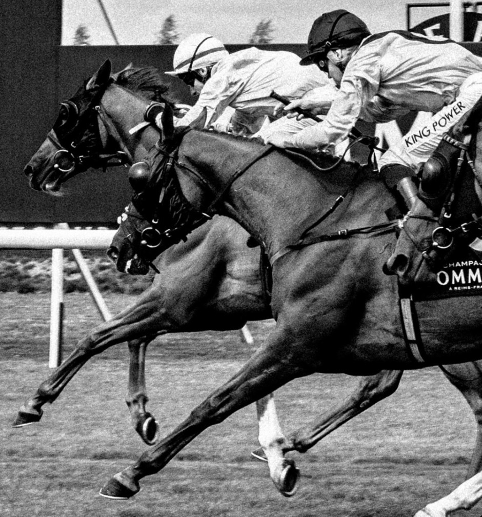 Musselburgh racecards 6 June Saturday flat turf racing action at Musselburgh Racecourse