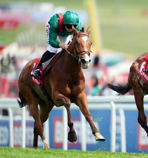 Epsom Downs Race Cards 6 June featuring Derby Day racing action