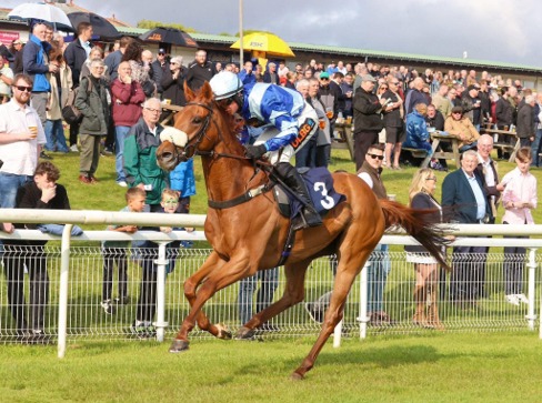 Hexham Race Cards 6 June action at Hexham Racecourse during a National Hunt meeting