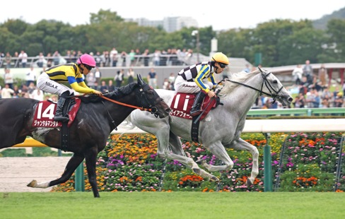 Tokyo Race Cards 7 June at Tokyo Racecourse featuring the Yasuda Kinen (G1)