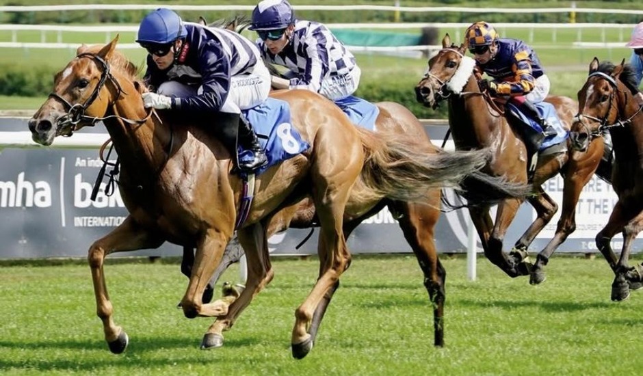 Leicester racecards 8 June Monday flat turf racing action at Leicester Racecourse