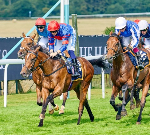 Goodwood Race Results 7 June full racecard summary
