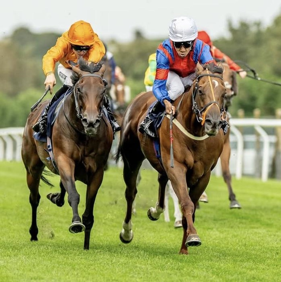 Brighton racecards 9 June Tuesday flat turf racing action at Brighton Racecourse