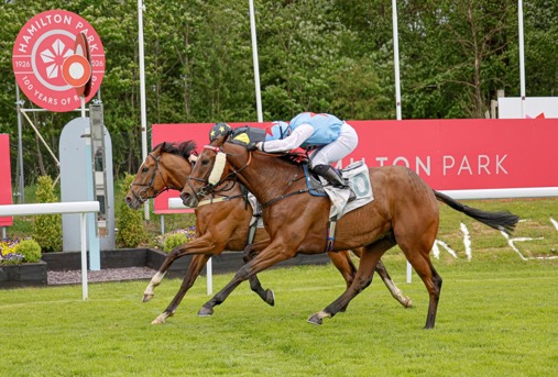 Hamilton Race Cards 10 June evening fixture at Hamilton Park Racecourse