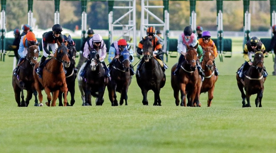 Newbury racecards 11 June Thursday flat turf racing action at Newbury Racecourse