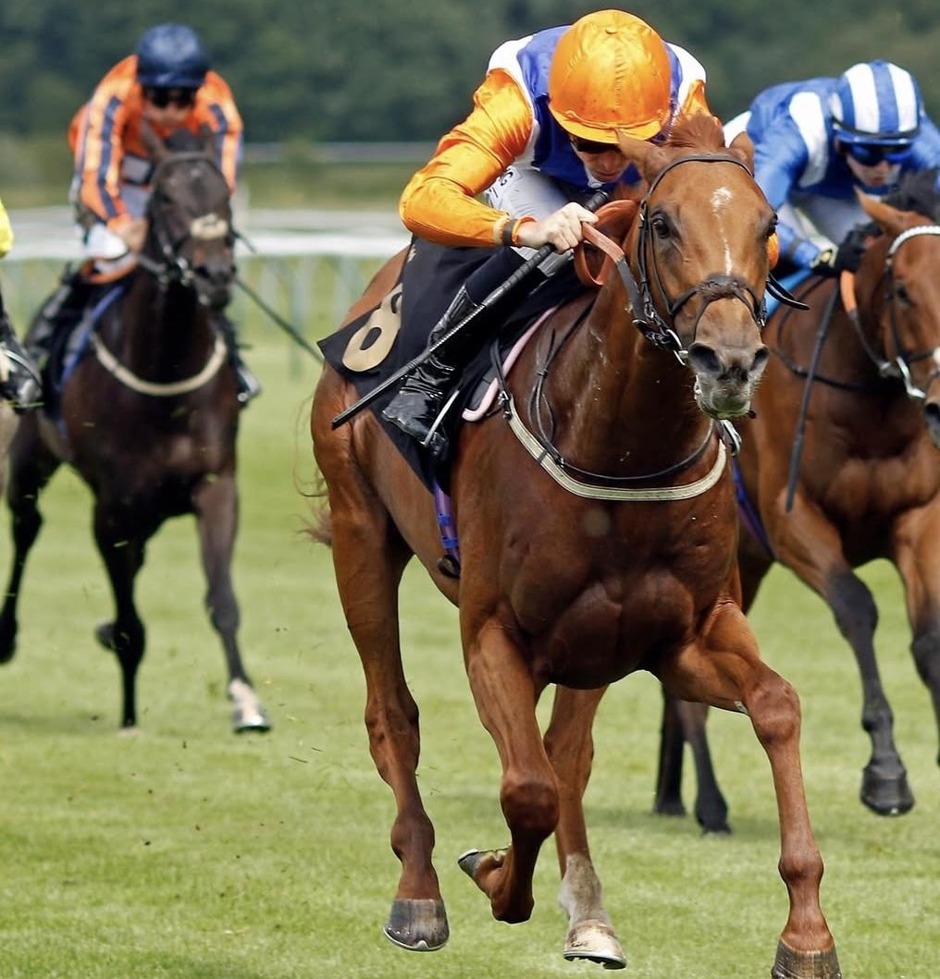 Nottingham racecards 11 june Thursday Flat Preview