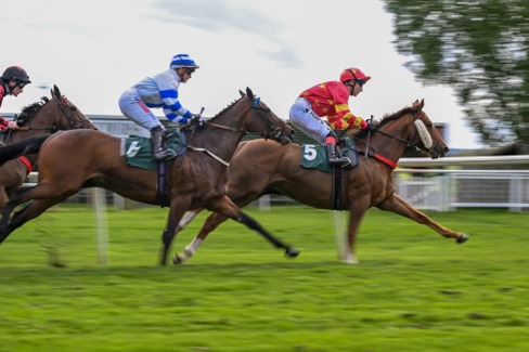 Catterick Race Cards 11 June at Catterick Bridge Racecourse