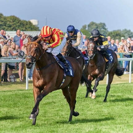 Great Yarmouth Race Cards 11 June seven-race preview at Great Yarmouth Racecourse