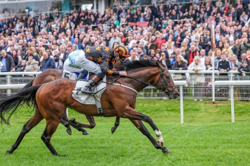 Hamilton Race Results 10 June featuring Glory Of The Seas at Hamilton Park