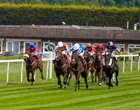 Sandown Race Cards 12 June preview at Sandown Park featuring race details and runners