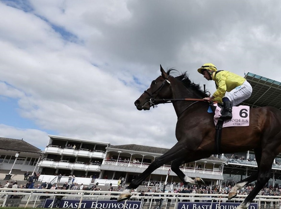 York racecards 12 June Friday flat turf racing action at York Racecourse