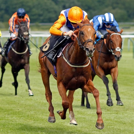 Nottingham Race Results 11 June from the six-race fixture at Nottingham Racecourse