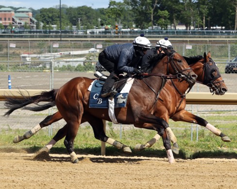Aqueduct Race Cards 13 June preview at Aqueduct Racetrack