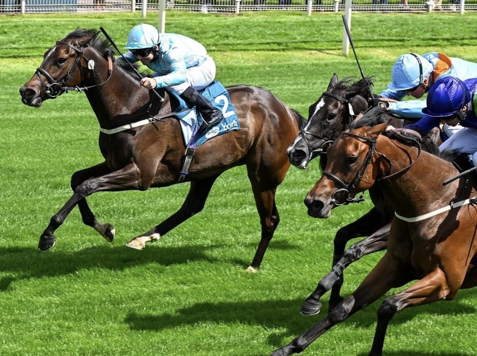 York Race Results 12 June: Exciting Performances at York Racecourse