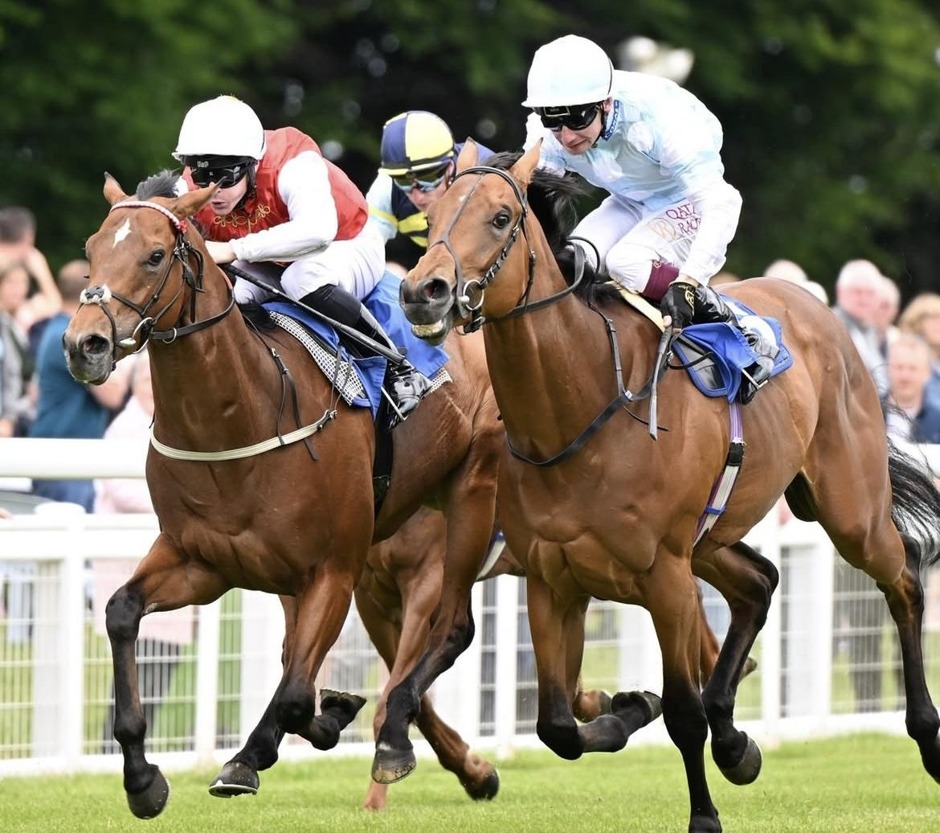 Salisbury racecards 14 June Sunday flat turf racing action at Salisbury Racecourse
