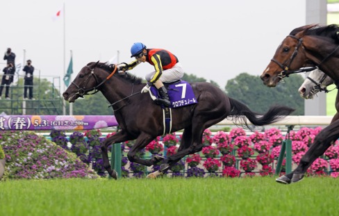 Tokyo Race Cards 14 June 12-race programme at Tokyo Racecourse