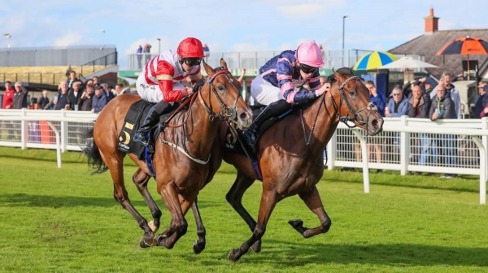Carlisle Race Cards 15 June meeting at Carlisle Racecourse