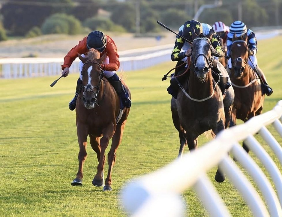 Wetherby racecards 15 June Monday flat turf racing action at Wetherby Racecourse
