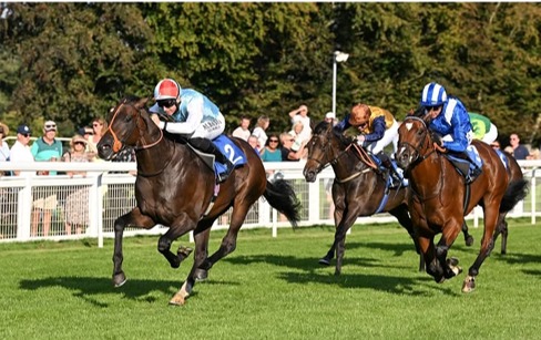 Salisbury Race Results 14 June showing winners and placings from the seven-race programme