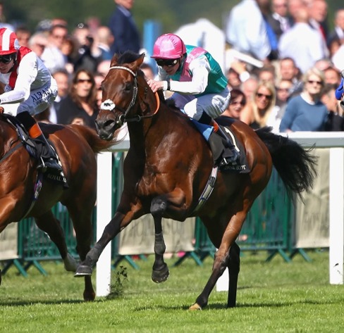 Ascot Race Cards 16 June featuring runners on Royal Ascot opening day