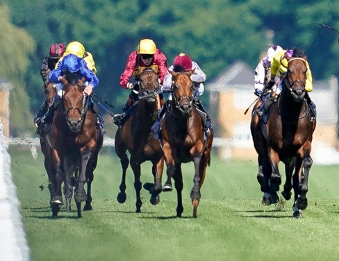Ascot Race Cards 16 June Queen Anne Stakes runners at Royal Ascot