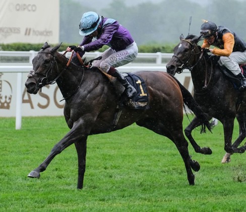 Ascot Race Cards 16 June King Charles III Stakes five-furlong sprint runners at Royal Ascot