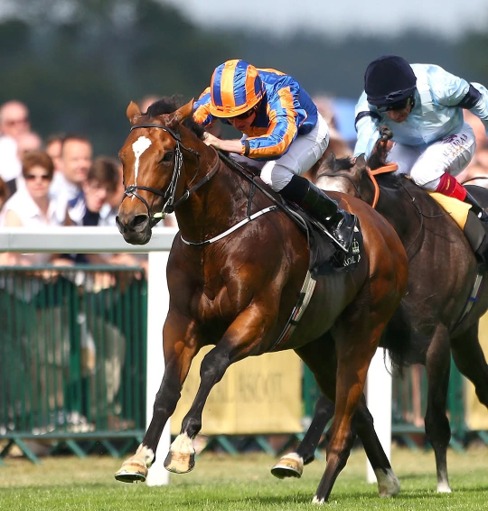 Ascot Race Cards 16 June St James’s Palace Stakes runners in Group 1 mile race at Royal Ascot