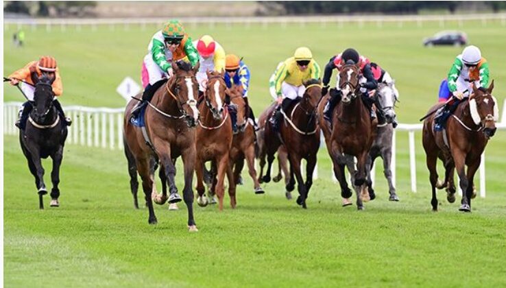 Royal Hunt Cup 2026 Ascot: Jagged Edge Aims for Success
