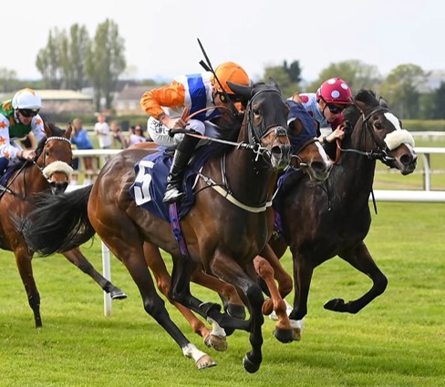 Wetherby Race Results 15 June featuring Clifford Lee's treble at Wetherby Racecourse
