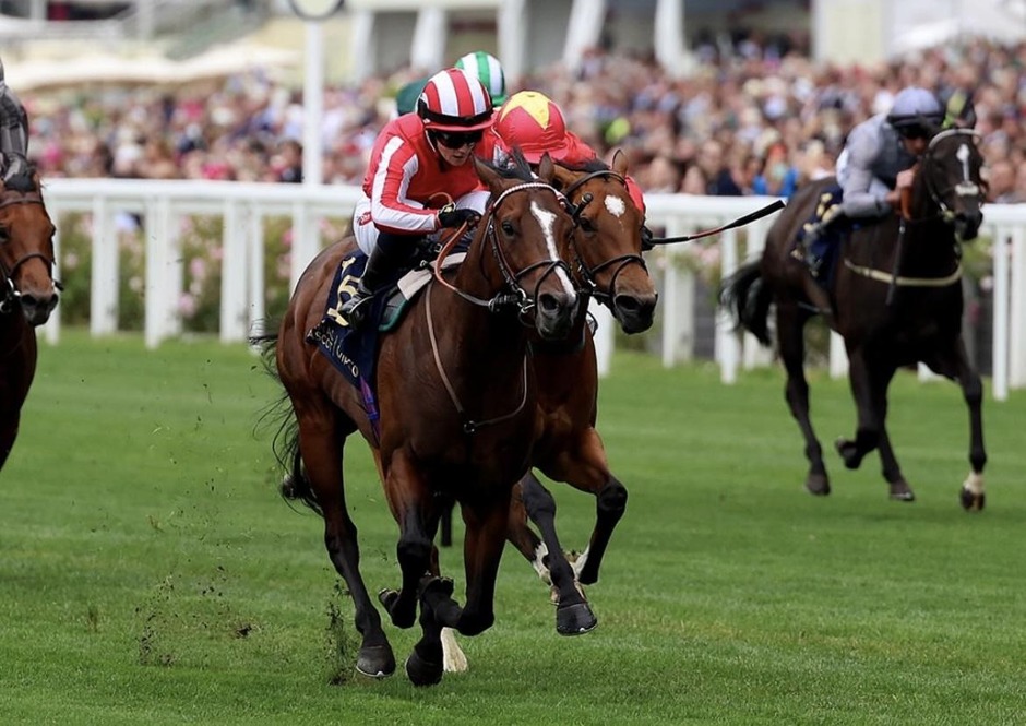 Ascot racecards 20 June