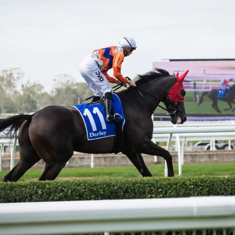 Canterbury Race Cards 17 June at Canterbury Park