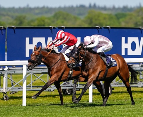 Ascot Race Cards 17 June full meeting preview