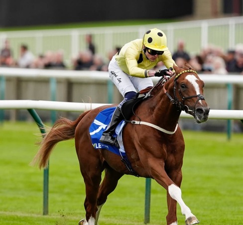 Ascot Race Cards 17 June Prince of Wales’s Stakes runners lineup