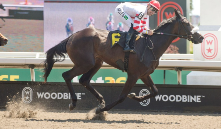Maiden Winners June 2026 Shine at Woodbine