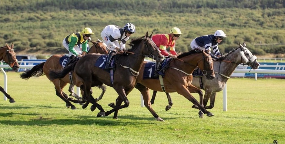 Ffos Las racecards 17 June Wednesday flat turf racing action at Ffos Las Racecourse