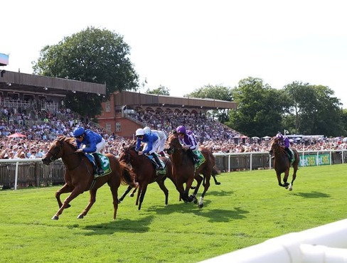Evening racing action at Newmarket Racecourse during Newmarket Race Cards 19 June fixture