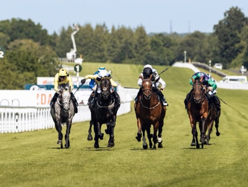 Goodwood Race Cards 19 June six-race evening card