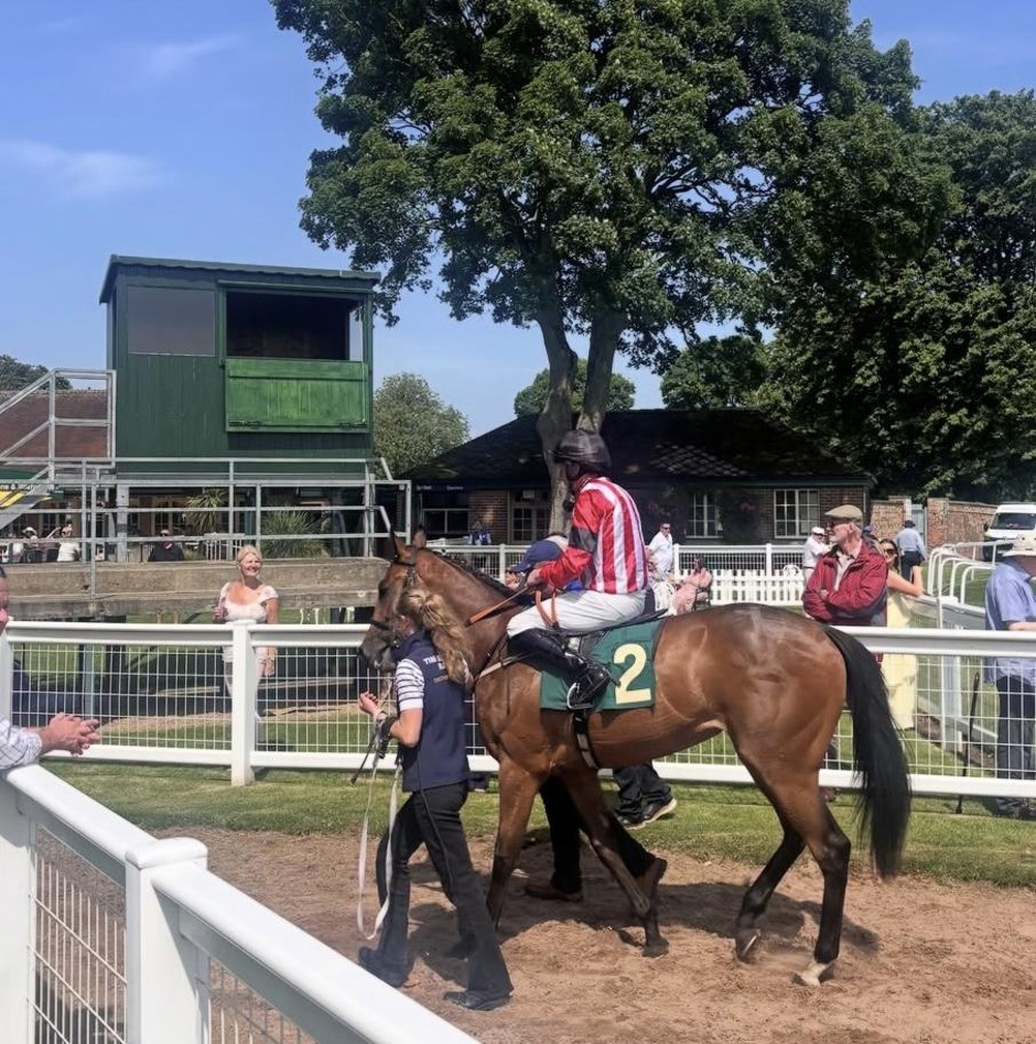 Ripon Race Results 18 June: Thrilling Performances