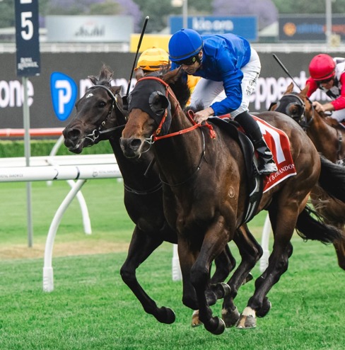 Royal Randwick Race Cards 20 June featuring Civic Stakes Day action