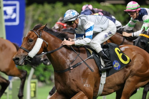 Sha Tin Race Cards 21 June 11-race programme under lights at Sha Tin Racecourse