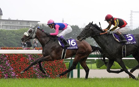 Tokyo Race Cards 21 June featuring the Fuchu Himba Stakes at Tokyo Racecourse