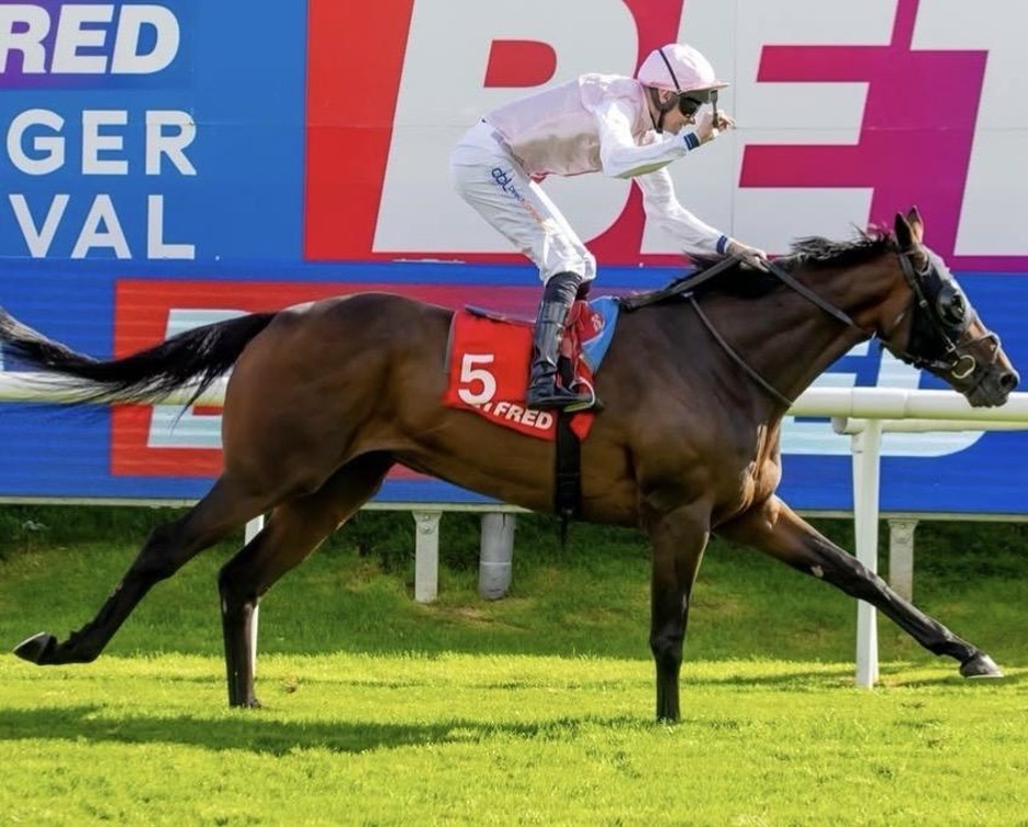 Doncaster racecards 20 June